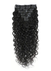 CLIP-INS
